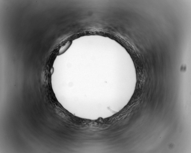 X0000103461207200810101142