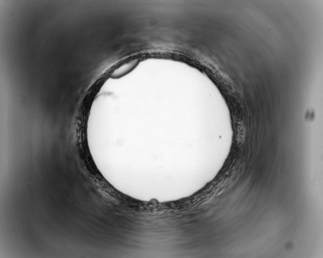 X0000103461208200810101142