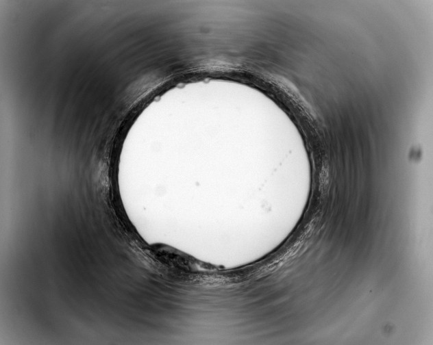 X0000103461209200810101142