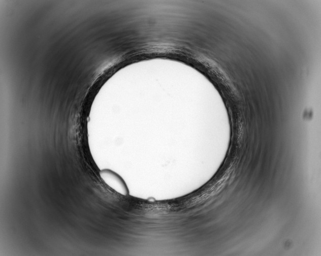 X0000103461210200810101142