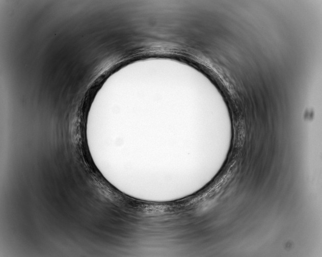 X0000103461211200810101142