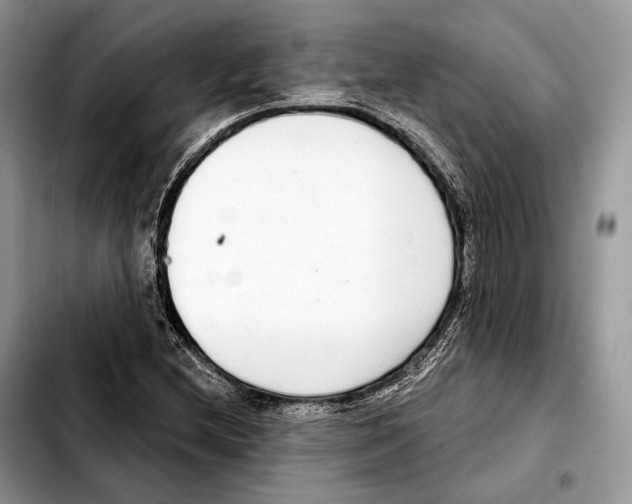 X0000103461212200810101142