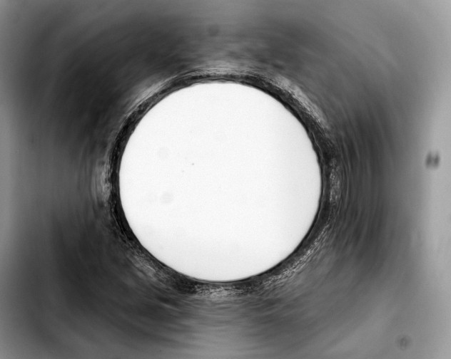 X0000103461213200810101142