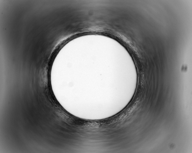 X0000103461214200810101142