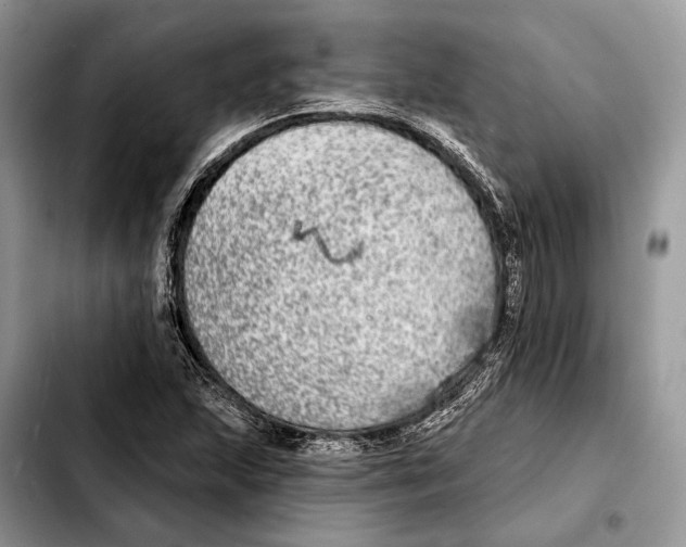 X0000103461215200810101142