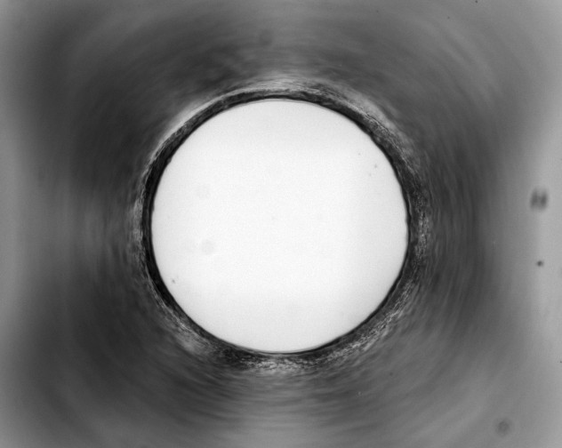 X0000103461216200810101142