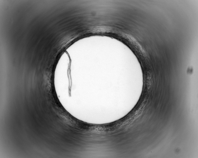 X0000103461217200810101142