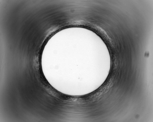 X0000103461218200810101142