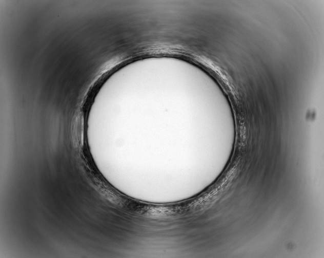 X0000103461219200810101142