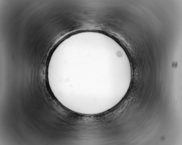 X0000103461220200810101142