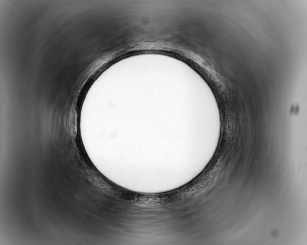 X0000103461221200810101142