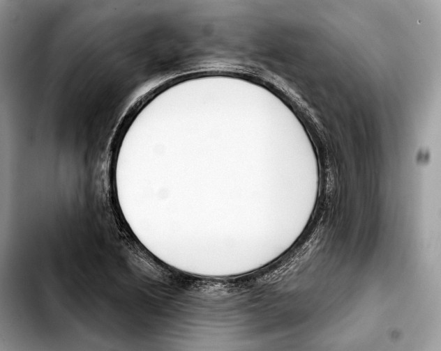 X0000103461222200810101142