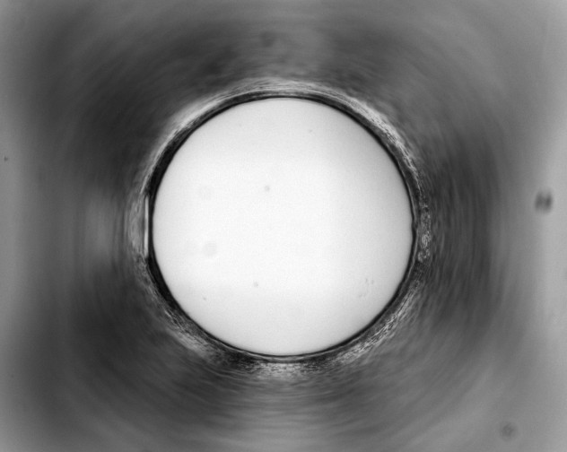 X0000103461223200810101142