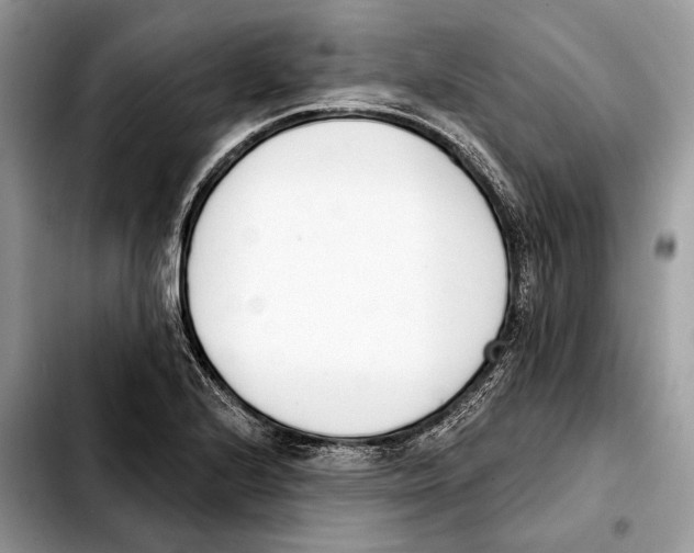 X0000103461224200810101142