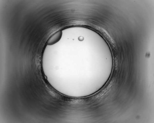 X0000103461225200810101142