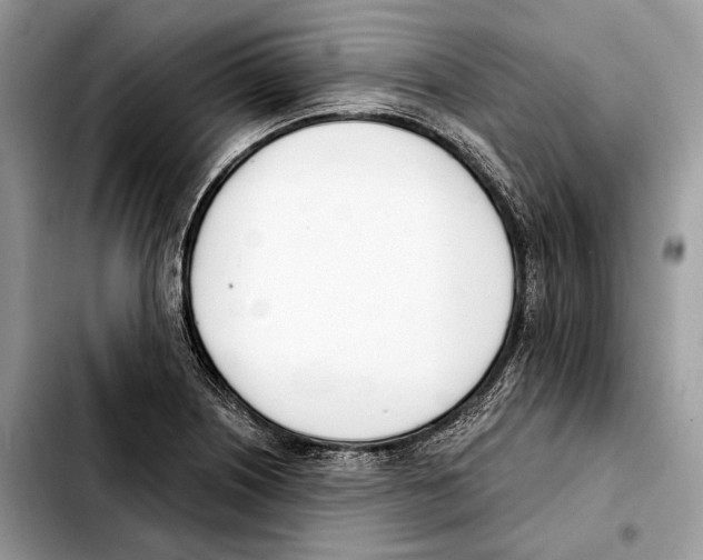 X0000103461226200810101142