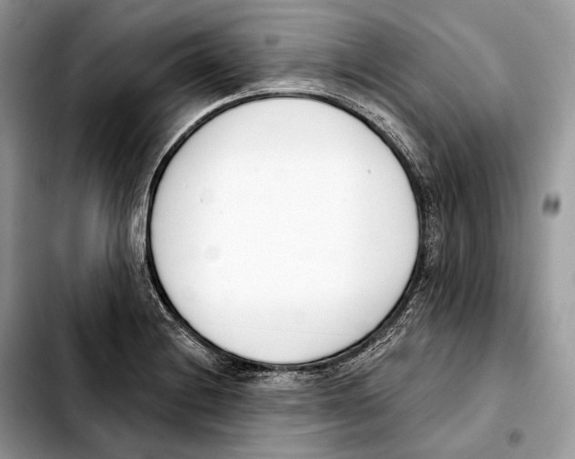 X0000103461228200810101142