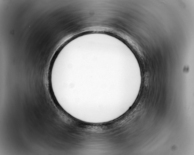 X0000103461229200810101143