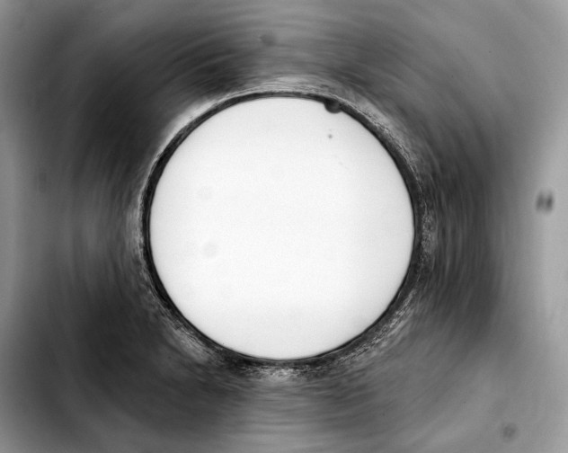 X0000103461230200810101143