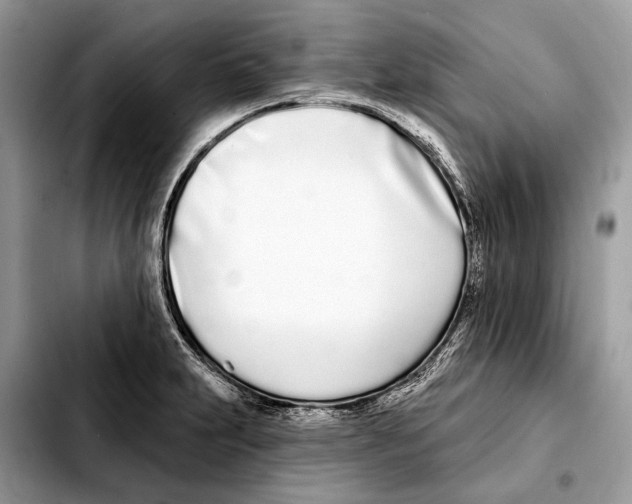 X0000103461231200810101143