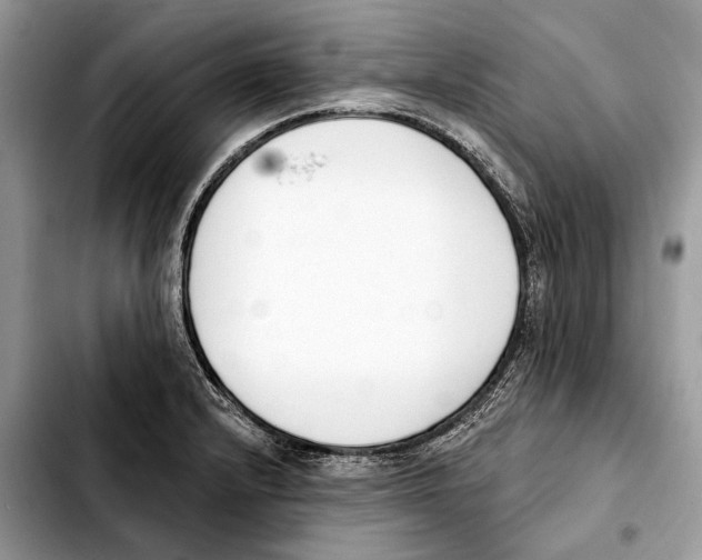 X0000103461232200810101143