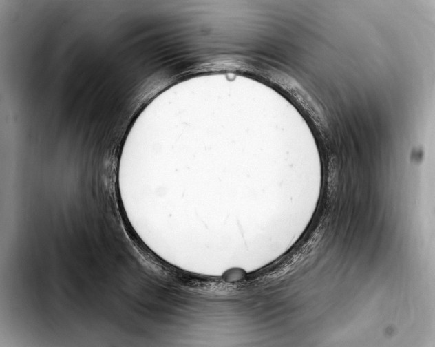X0000103461233200810101143