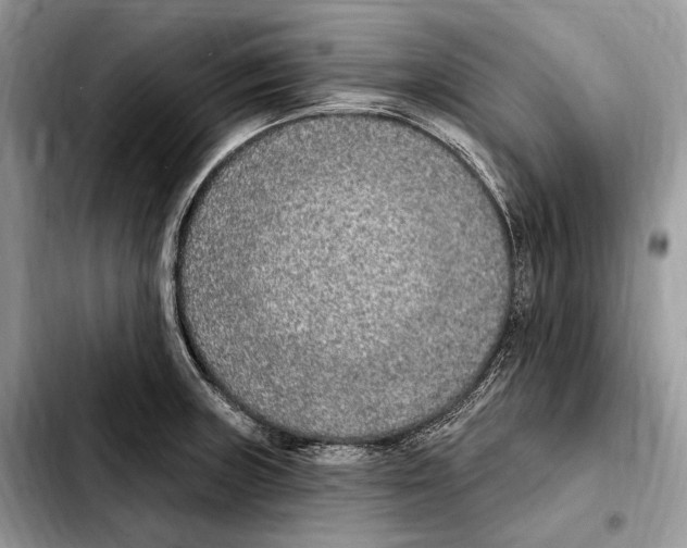 X0000103461235200810101143