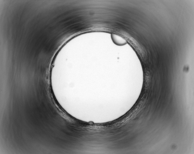 X0000103461236200810101143