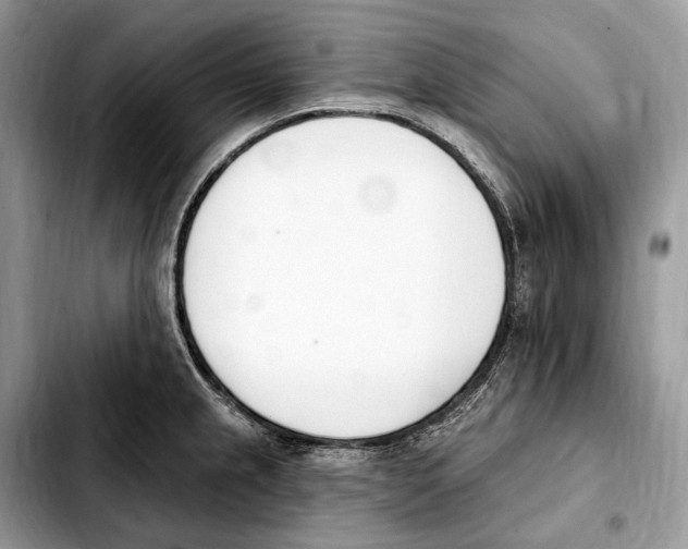 X0000103461237200810101143