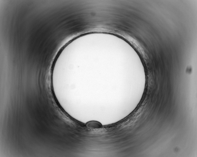 X0000103461238200810101143