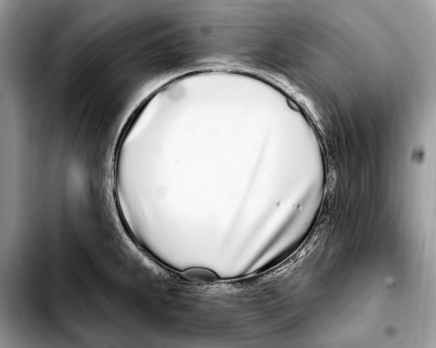 X0000103461239200810101143