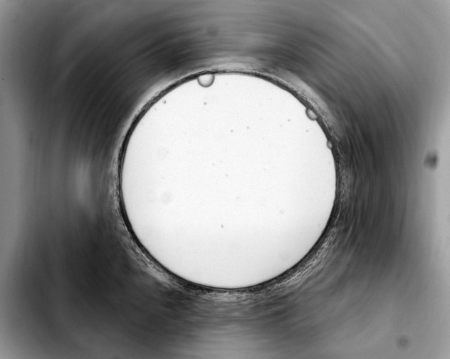 X0000103461240200810101143
