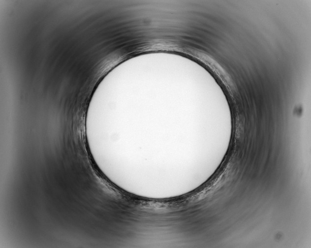X0000103461241200810101143