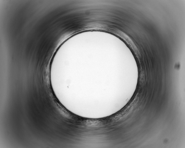 X0000103461242200810101143