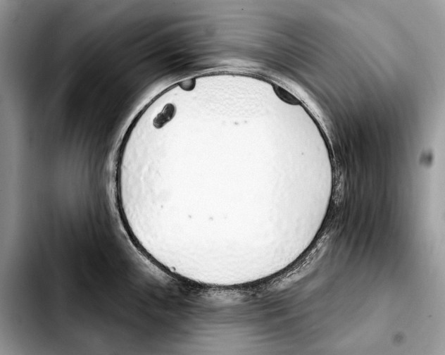 X0000103461243200810101143