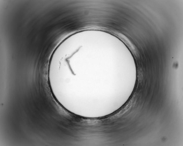 X0000103461244200810101143
