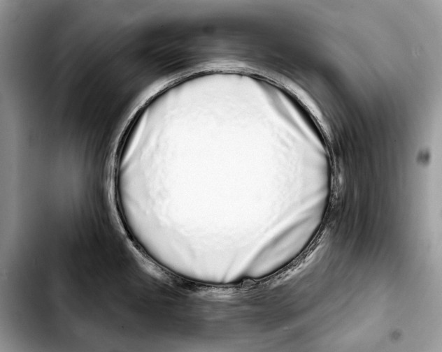 X0000103461245200810101143