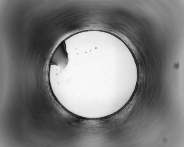 X0000103461246200810101143
