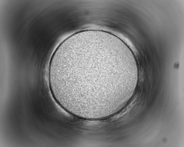 X0000103461247200810101143