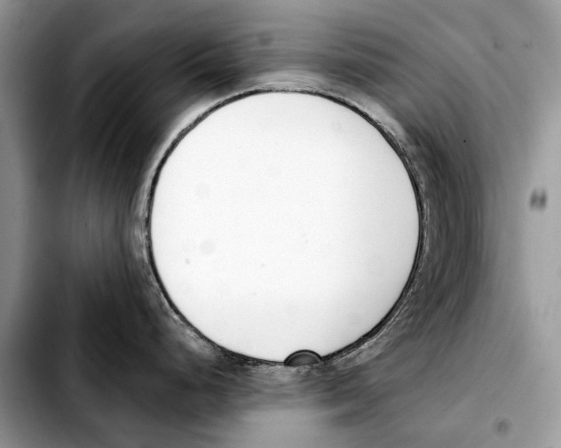 X0000103461248200810101143