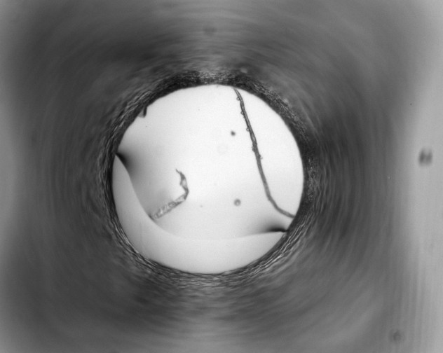 X0000103461249200810101142