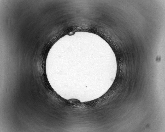 X0000103461250200810101142