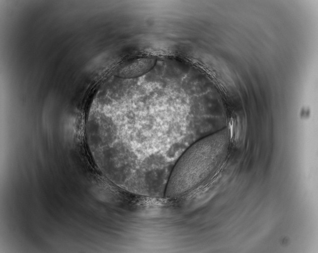 X0000103461251200810101142