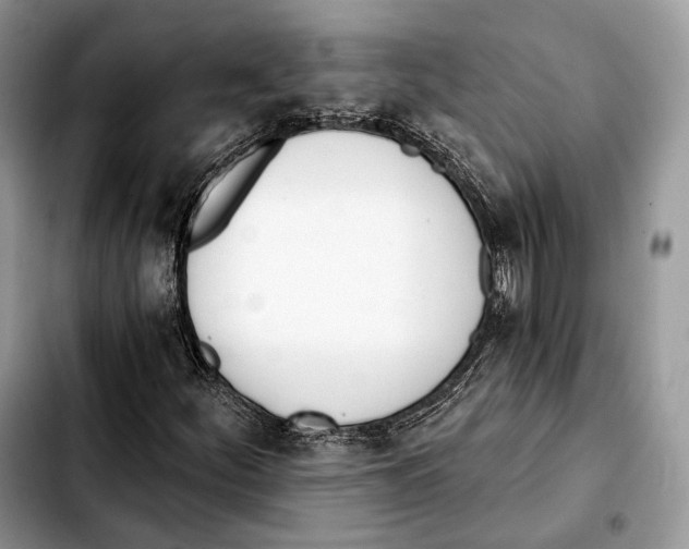 X0000103461252200810101142