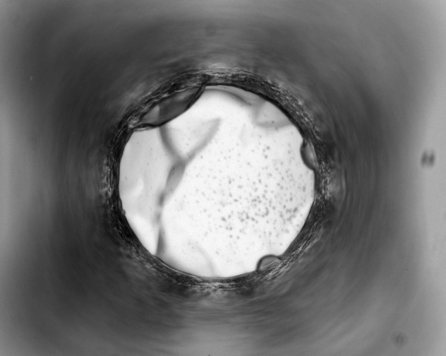 X0000103461253200810101142