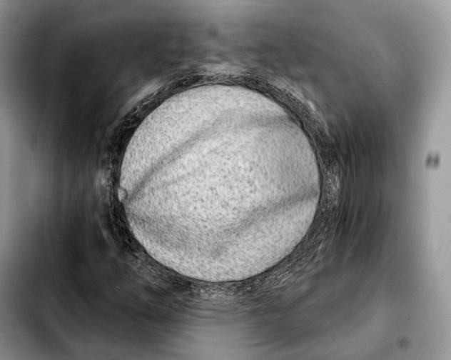 X0000103461254200810101142