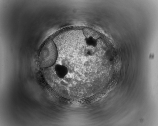 X0000103461255200810101142