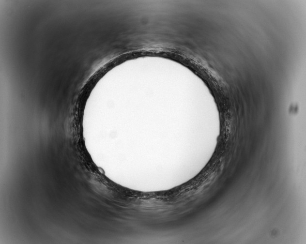 X0000103461256200810101142