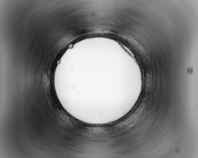 X0000103461257200810101142