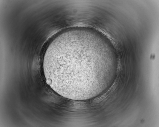 X0000103461258200810101142